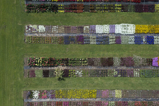 Aerial view experimental flower crops, Hohenheim, Baden-Wuerttemberg, Germany