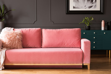 Pink sofa with pillows in grey living room interior with poster above green cabinet with plant....