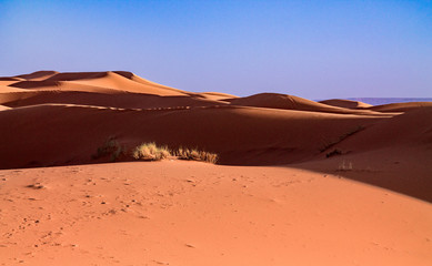The cave dunes in the Sahara Desert. Africa, Morocco