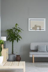 Plant next to grey sofa with cushion in minimal living room interior with painting and table. Real...