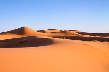 Naklejka na ściany i meble The cave dunes in the Sahara Desert. Africa, Morocco
