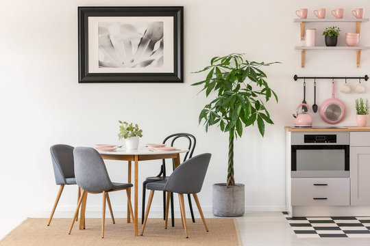 Grey chairs at dining table next to plants in kitchen interior w