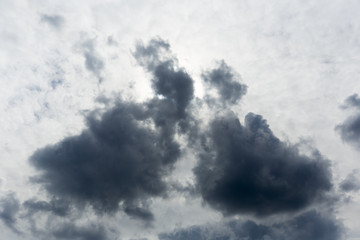 Rabbit Kissing A Princess In The Sky