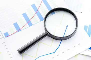 Magnifying with Business Graphs finance document.