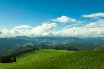 Obraz premium Mountains of clouds and forest