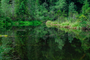 High mountain lake in the forest