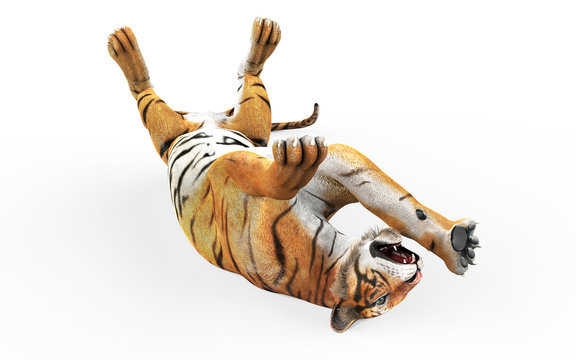 Dangerous Bengal Tiger Roaring and Jumping Isolated on White Background, with Clipping Path, 3d Illustration.