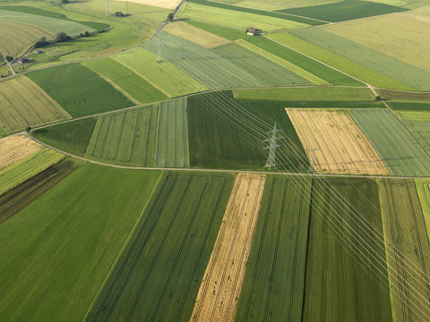 Aerial view vibrant green agricultural crops, Donaueschingen, Baden-Wuerttemberg, Germany
