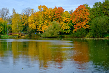 Fototapeta premium Colorful autumn trees in an open city park on the lake shore
