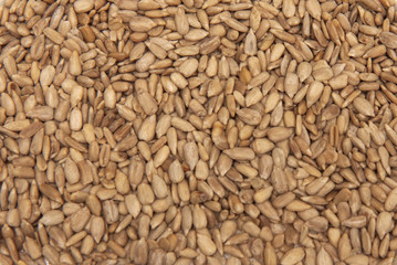 sunflower seeds