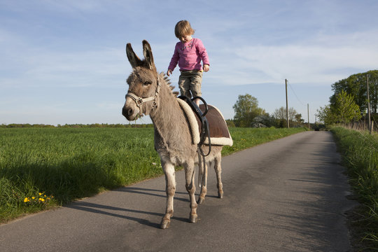 Girl standing on donkey on rural road