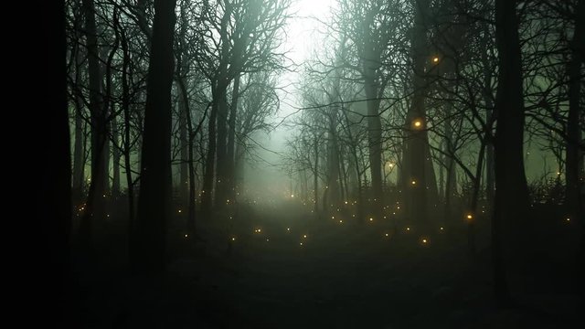 Fireflies in forest alley in dense fog. Dark, mysterious, fairytale landscape.