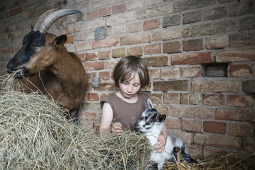 Girl sitting in hay with goats in barn