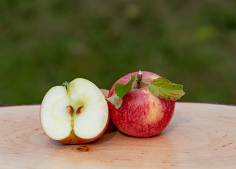 Frische Äpfel - Apfelernte