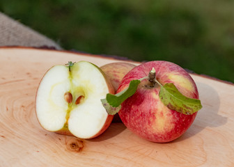 Frische Äpfel - Apfelernte