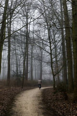 Obraz premium Early Morning Bike Ride Through The Forest