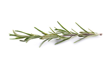 Fototapeta premium rosemary isolated on white background