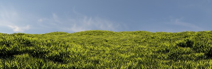 Grass to the horizon, widescreen background.