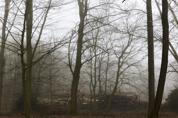 Wood Loggers Storage Yard During Winter