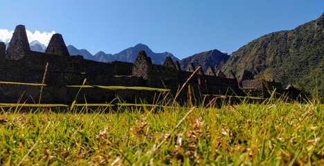 Cesped en Machu Picchu