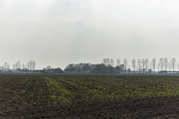 Open Agricultural Landscape With Light Beaming Down