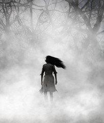 Ghost woman in foggy forest,3d Mixed media for book illustration or book cover