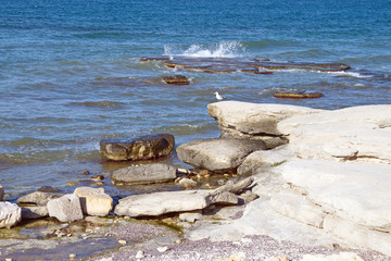 Каменистый берег