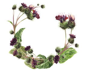 Hand drawn watercolor isolated wreath of a colorful gentle meadow thistle. Botanical vintage watercolor illustration. Design for cards, fabric, textile