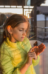 Curious girl watching butterfly on finger