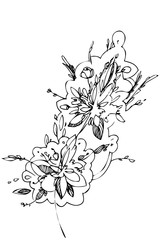 vector image beautiful abstract floral background