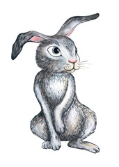 stylized gray bunny on a white background