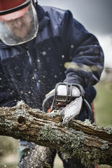Working lumberjack with his chain saw