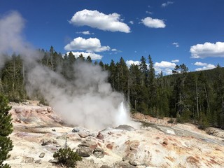 イエローストーン国立公園（スチームボート・ガイザー）