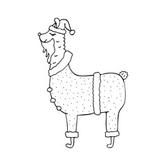Hand-drawn monochrome Santa lama in a christmas suit.
