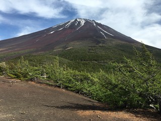 富士山麓