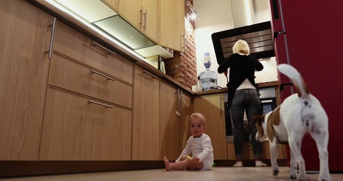 Babysitter doing kitchen work, cooking near baby boy plays with dog