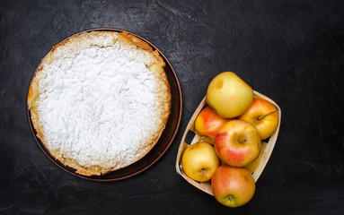 Traditional apple pie with vanilla custard. Polish Charlotte. a favourite British dessert. homemade...