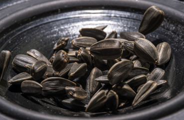 Sunflower seeds of black flowers jumping to music