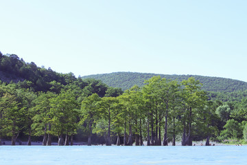 Sukko Lake. Krasnodar region. Russia. View of the unique cypresses and wooded slopes of the...