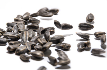 Sunflower seeds of black flowers jumping to music