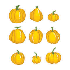 Vector of  Halloween pumpkin set with Different shapes and sizes isolated on white background.