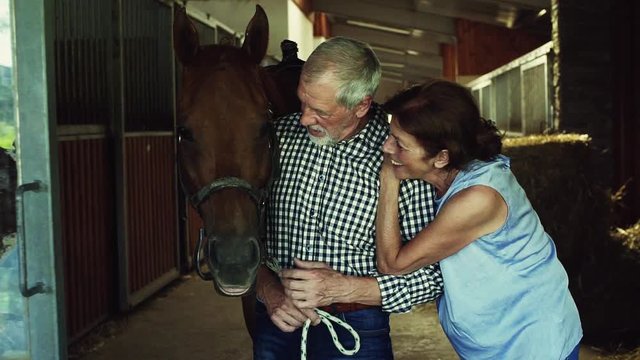 A senior couple petting a horse in a stable.