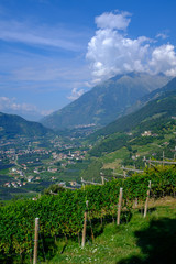 View from Tirolo