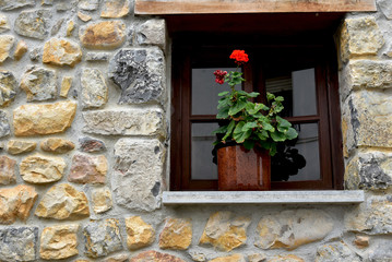 window with flowers in classical facade