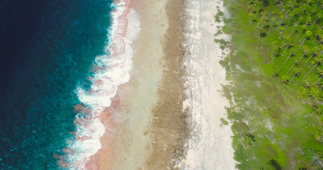 beach in aerial view with wave
