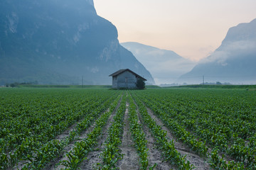 Farmhouse at sunrise