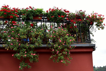Fototapeta na wymiar balcony overflowing with flowers