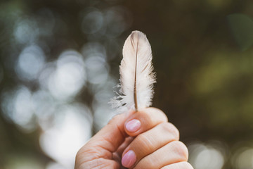 Feather in woman's hands