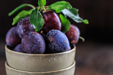 Garden plums on table. Close up of fresh plums with leaves. Autumn harvest of plums.