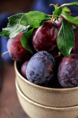 Garden plums on table. Close up of fresh plums with leaves. Autumn harvest of plums.